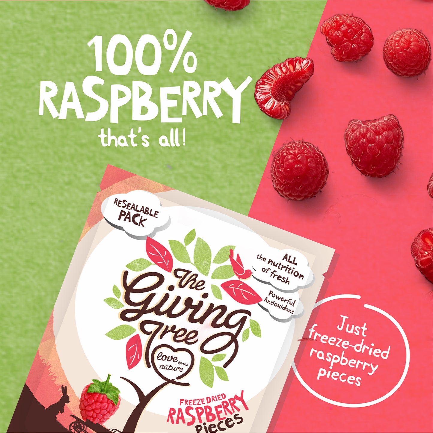Freeze Dried Raspberry Pieces
