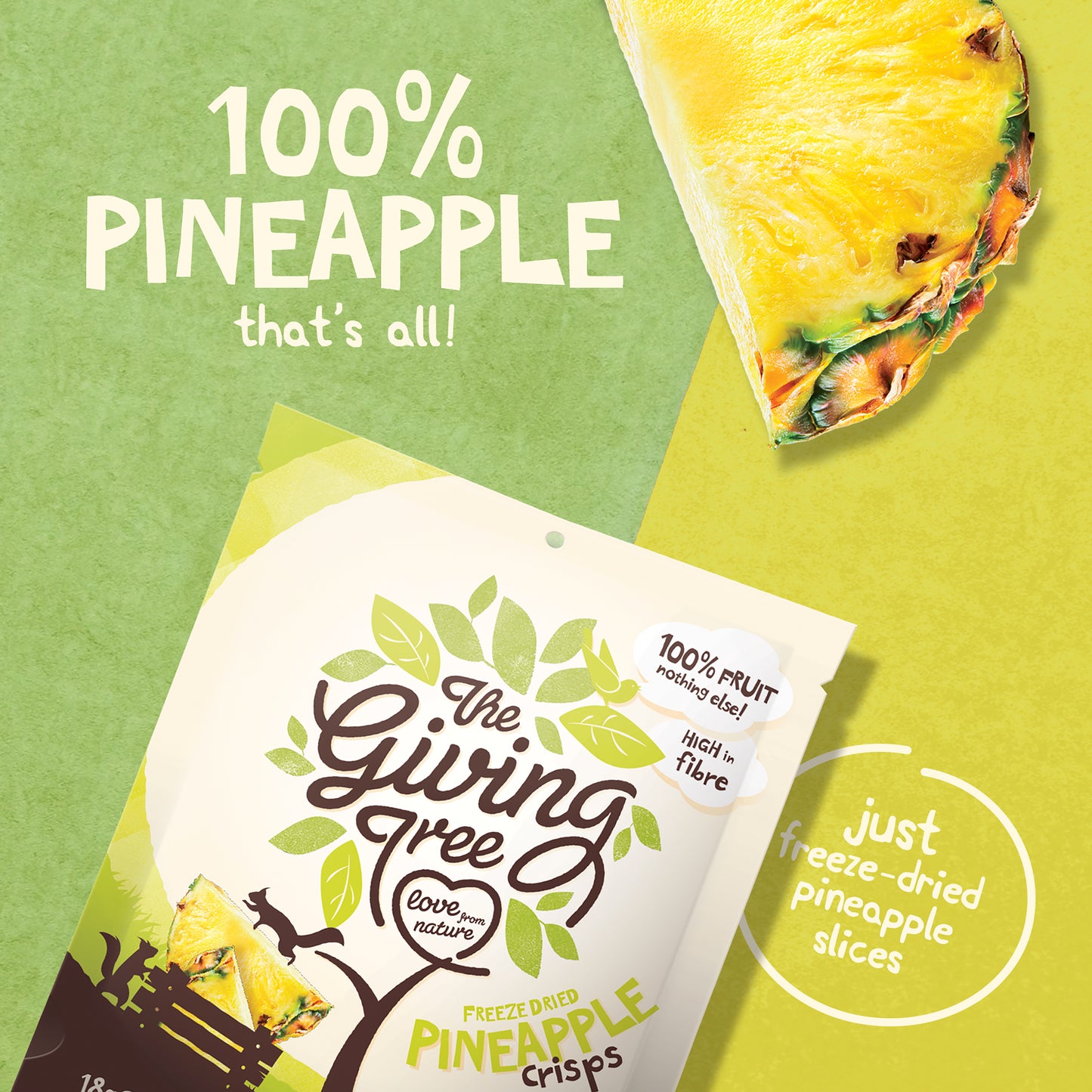 Freeze Dried Pineapple Crisps