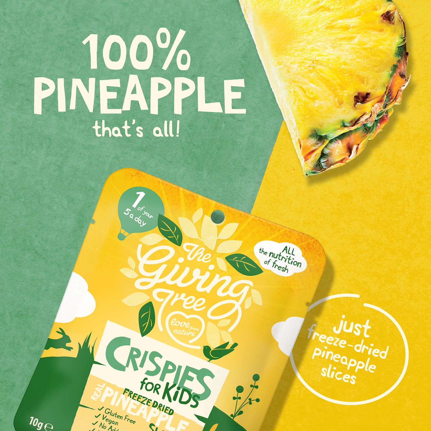 Freeze Dried Pineapple Crispies